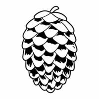 Flat Floating winter pinecone with frost isolated on white background Clean vector