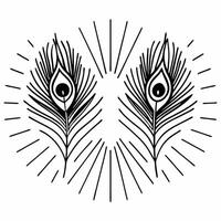 Isolated Peacock Feather and Sparklers concept as A illustration featuring a colorful peacock feather paired with sparkling lines both elements isolated on a white backgroun Squre vector
