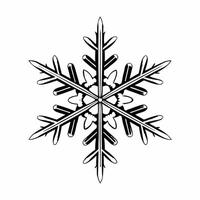 Snowflake icon with intricate design on white background concept as A detailed snowflake icon with fine edges and symmetrical patterns isolated on a white background The sh Squre vector