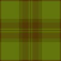 Ethnicity check tartan fabric, backdrop pattern textile seamless. Mature background plaid texture in yellow and lime colors. vector