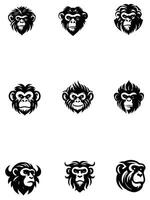 Kingdom Monkey Collection Logo vector