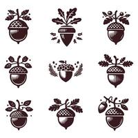 Tiny Acorn collection logo vector