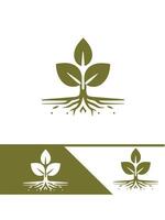 Root Rise Seedling Logo Design vector