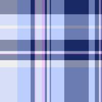 Subtle pastel blue and navy plaid pattern. Perfect for textile design, website backgrounds, or fashion projects. Elegant and versatile, this image evokes a sense of calm and sophistication. vector