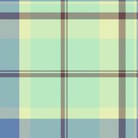 Filigree fabric plaid tartan, string check background seamless. Wallpaper pattern texture textile in light and blue colors. vector