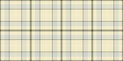 Birthday background tartan plaid, trousers texture textile fabric. Fancy seamless pattern check in light and pastel colors. vector