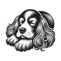 Peaceful Cocker Spaniel Napping vector