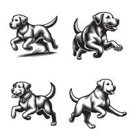 Playful Lab Jumping with Joy vector