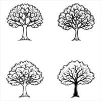 Ash Tree with Lush Canopy vector