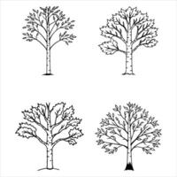 Birch Tree with Falling Leaves vector