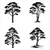 Enchanted Cypress Tree Graphic vector