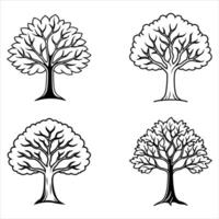Elegant Tree with Spreading Branches vector