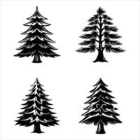 Pine Tree with Snowy Branches vector