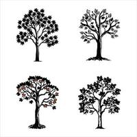Maple Tree with Detailed Branches vector