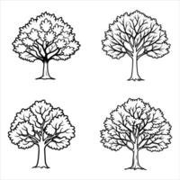 Serene Elm Tree Illustration vector