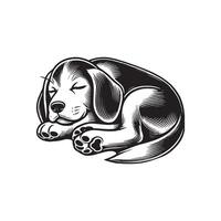 Cute Beagle Dog Taking a Rest vector
