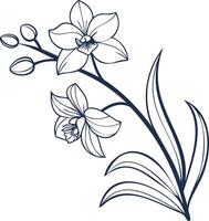 Orchid Line Art Illustration Drawing Elegant Floral Blossom Outline Monochrome Design Element Isolated Botanical Graphic vector