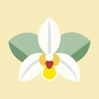 Orchid Flower Minimal Illustration Modern Botanical Floral Art in Soft Pastel Colors Decorative Flat Digital Design for Prints Backgrounds and Graphic Design vector