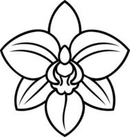 Simple Orchid Flower Line Art Illustration Minimalist Botanical Drawing Isolated Floral Outline Design Element vector