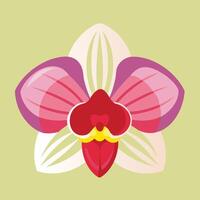 Vibrant Digital Orchid Illustration with Abstract Floral Design Exotic Botanical Art in Modern Aesthetic Style for Nature Inspired Backgrounds and Decorative Elements vector