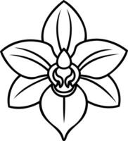 Elegant White Orchid Flower Line Art Illustration Simple Modern Botanical Drawing for Spring Summer Design Element Isolated Floral Blossom Graphic Icon vector