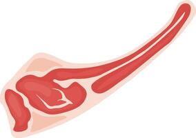 Freshly cut red meat with visible bone, presenting a nutritious protein option for maintaining a balanced diet, isolated against a clean white background vector