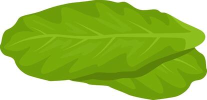 Vibrant green sorrel leaves overlapping, representing fresh produce and healthy dietary choices, embodying the essence of a nutritious lifestyle filled with natural goodness vector