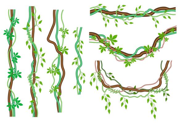 Cartoon Color Different Tropical Lianas Icons Set.