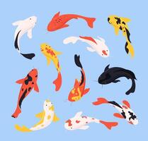Cartoon Color Different Koi Fish Icons Set. vector