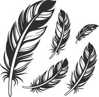 Sleek Feather Shape Set vector