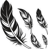 Artistic Feather Design Bundle vector
