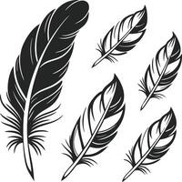 Timeless Feather Design Collection vector