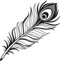 Sophisticated Peacock Feather Shape vector