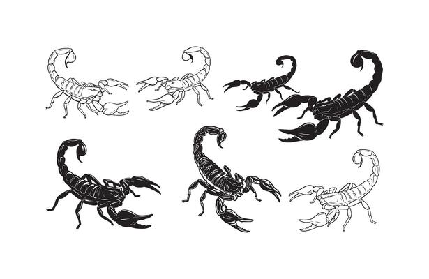 Scorpion Realistic Drawing Fine Line Collection
