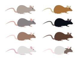 Eight rats of different colors on a white background, variety of coat colors and patterns, from light grey to dark brown and black vector
