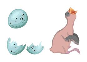 Illustration of a whole and a broken turquoise egg with dark spots, and a newborn pink bird hatching from a similar egg vector