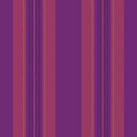 Pomance texture background fabric, patch pattern lines vertical. Mispanic textile seamless stripe in purple and red colors. vector