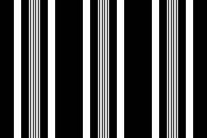 Frawing stripe vertical, proud background fabric pattern. Rold texture lines seamless textile in black and white colors. vector
