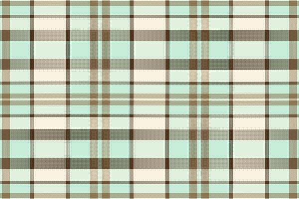 Youth texture seamless textile, mexico tartan fabric . Adorable background plaid check pattern in light and beige colors.