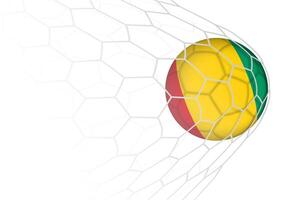 Guinea flag soccer ball in net. vector