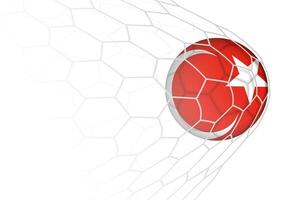 Turkey flag soccer ball in net. vector