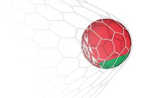 Belarus flag soccer ball in net. vector