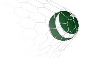 Pakistan flag soccer ball in net. vector