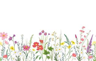 illustration of background with various wildflowers and delicate plants, seamless from right to left vector