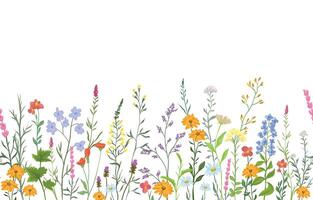 illustration of background with various wildflowers and delicate plants, seamless from right to left vector