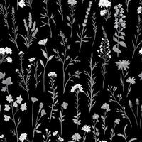 illustration of Seamless pattern with various wildflowers and delicate plants on black background vector