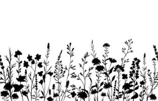 illustration of silhouettes background with various wildflowers and delicate plants, seamless from right to left vector