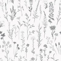 illustration of Seamless monochrome pattern with various wildflowers and delicate plants vector