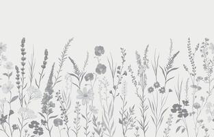 illustration of monochrome background with various wildflowers and delicate plants, seamless from right to left vector