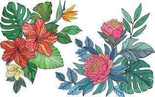 collection of vibrant tropical flowers with intricate petals sits among lush green leaves, showcasing an array of colors and textures in a cheerful arrangement. vector